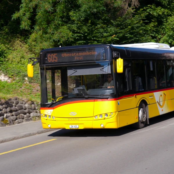 médecine du trafic
